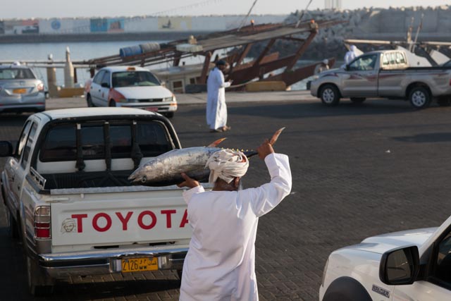 16-Oman-omaniccarriesyellowfintuna-LaurentyPeter2017