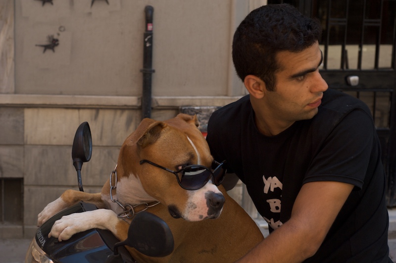 Dog and owner-Istanbul