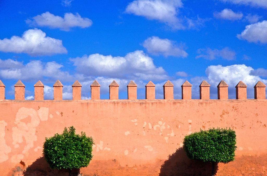 Morocco-Marakech-palacetree