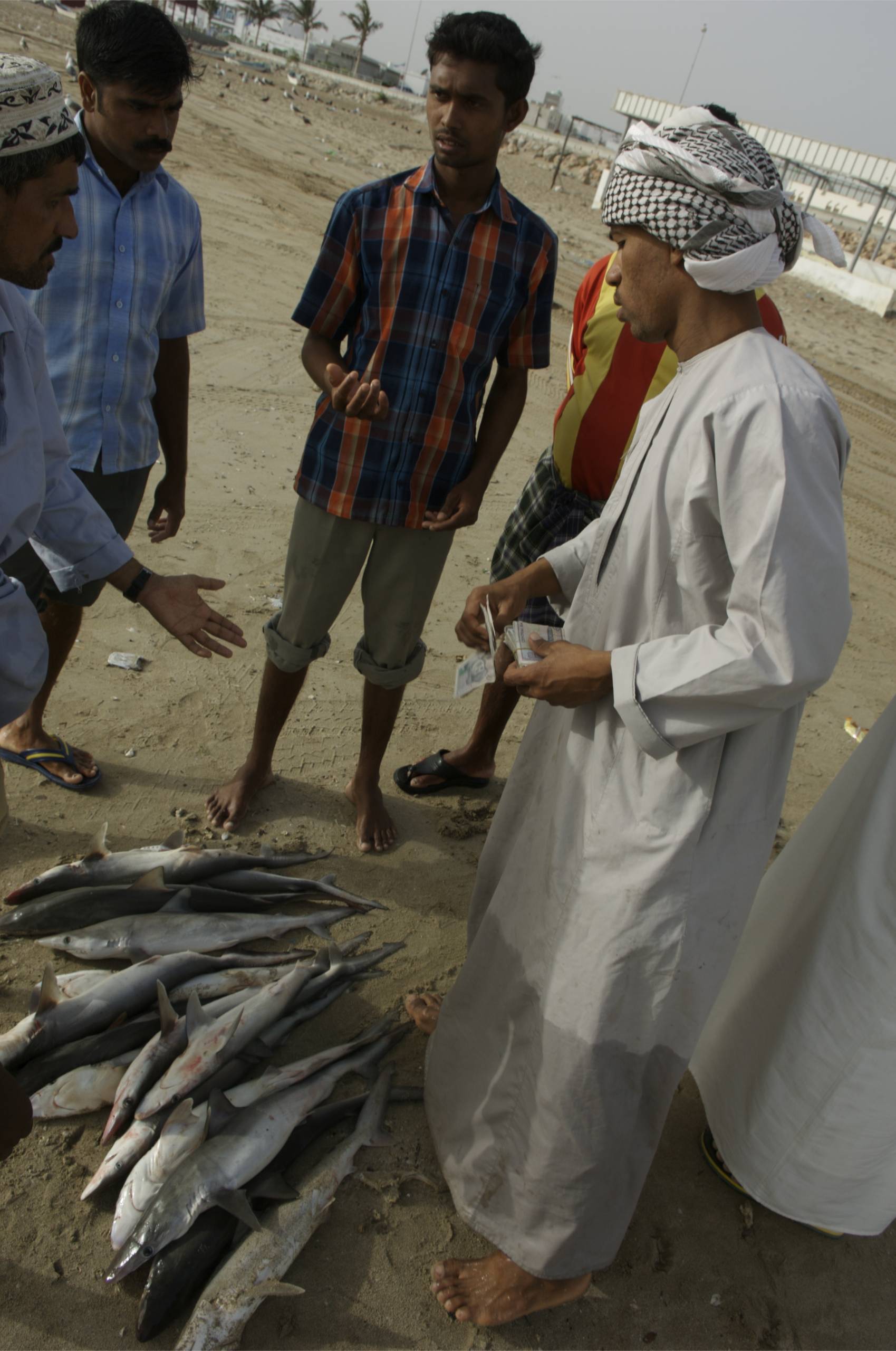 Oman elders bargain-fishermen