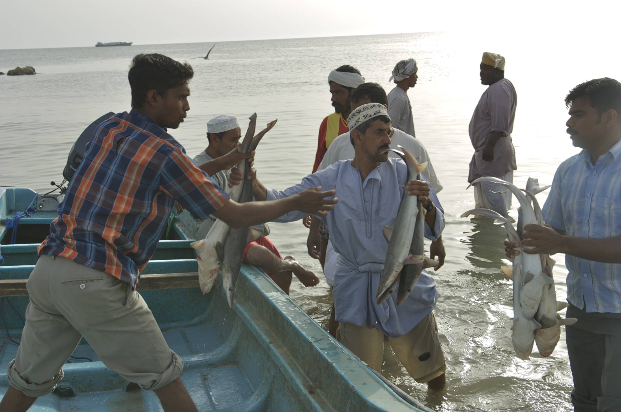 Omani-fishermen