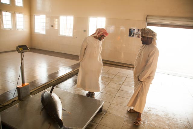 Omani-tuna weighing