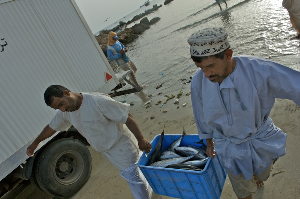 omani fisherman carry fish